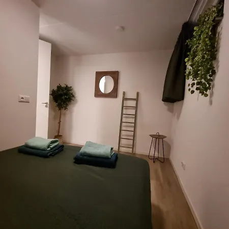 Luxe Wellness Woning Met Prive Buitensauna Holiday home