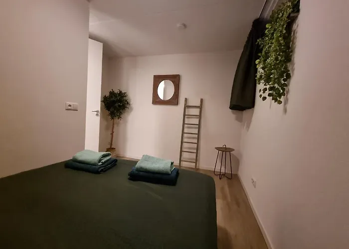 Luxe Wellness Woning Met Prive Buitensauna Ferienhaus